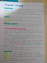 8 Sinif Inkilap Tarihi Ve Ataturkculuk Konu Avrupa Daki Gelismeler Ders Programlari Ders Calisma Ipuclari Sinif