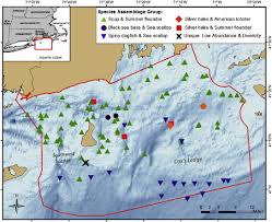 Fine-scale spatial patterns in the demersal fish and invertebrate community  in a northwest Atlantic ecosystem