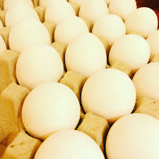 Ibland blir det ingen graviditet när man försöker befrukta ett ägg med spermier. Agg Svinntips