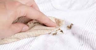 Οι πιο ενδιαφέρουσες συμβουλές για το πώς να πλύνετε έναν λεκέ σοκολάτας