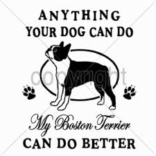 My Boston Terrier Anything Your Dog Can Do T Shirt 7 X L To 14 X Large Pick Size Ebay