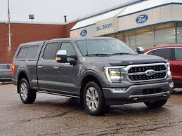 Image result for Medium Brown 2021 Fleet