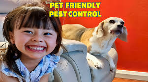 Pest Control Eveleigh