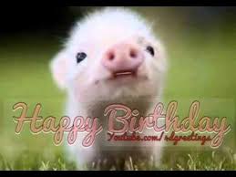 Funny Birthday Song For Friend Cute Little Pig Singing Happy Birthday Song Youtube Funny Happy Birthday Song Happy Birthday Niece Birthday Songs