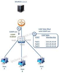 Cgmp Ipmulticast Networkprotocols Cgmp Operation 2 Network World Interview Training Networking
