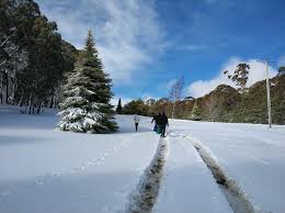 It is best reached and explored by car, however you can also get there by train and on a coach tour. Snowy Scene Near Oberon Blue Mountains Region Australia Less Than 3 Hours Drive From Sydney Sydney