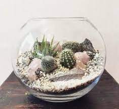 Como hacer un alfiletero en forma de cactus | todo manualidades. Como Hacer Un Terrario De Cactus Para Decorar Tu Casa Terrarios Como Hacer Terrarios Plantas