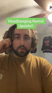 Magnificent Mile Chicago Light Festival Kermit