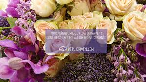 To enjoy exclusive access to most of the exceptional deals offered, it is essential that you sign up for the email newsletter services accessible via its online portal. Petaldriven Com Reviews Facebook