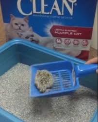 With my old brand, i had to dump the whole thing every few days to keep it from smelling. 3 Best Clumping Cat Litters Reviews 2018 Get A Top Premium Cat Litter