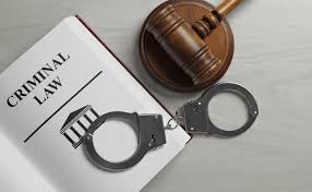 What Does Criminal Lawyer Mean? | Understand Their Role in SA Criminal Law