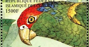 Birds Of North America Poster Amazon Red Crowned Amazon Stamps Mainly Images Gallery Format In 2020 Stamp