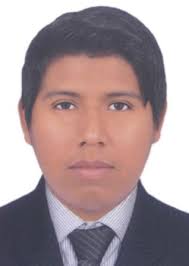 Ingresos de Otorongos Elecciones 2022