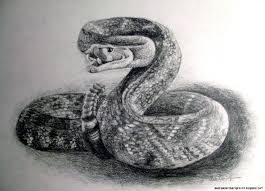Drawings Of Snakes Carinewbi Boa snake realistic childish vector. drawings of snakes carinewbi
