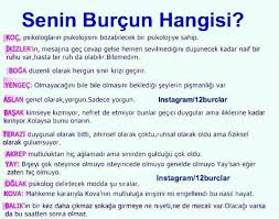 myguide adli kullanicinin burclar panosundaki pin burclar ikizler burcu ikizler