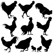 Chicken Silhouette Clipart Free Chicken Art Animal Silhouette Silhouette Stencil