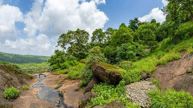 Sanjay Gandhi National Park, a natural beauty within the city of Mumbai, Mumbai - TimesTravel