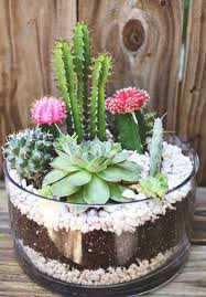 12 Simple Diy Terrariums Diy Terrarium Projects How To Make Your Own Terrarium Indoor G In 2020 Succulent Garden Indoor Succulent Garden Diy Succulent Garden Design