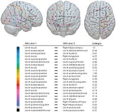 Disconnectomics to unravel the network underlying deficits of spatial  exploration and attention