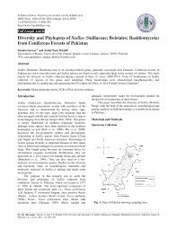 This domain currently does not have any sponsors for you. Pdf Diversity And Phylogeny Of Genus Suillus Suillaceae Boletales From Coniferous Forests Of Pakistan Asia