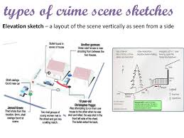Featured items newest items bestselling alphabetical: 1 06 Crime Scene Sketch Goals For This Lesson Ppt Download