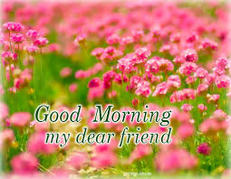 Do have a beautiful day ahead of you today and always my good friend. Good Morning Wishes For Friend Pictures Images Page 32