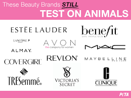 I have not included kylie cosmetics as they sell mink lashes and therefore in this regard they are not cruelty free! Makeup Brands Who Test On Animals Saubhaya Makeup