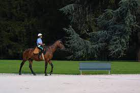 A Pacchiarini Bench In An American Park Even The Mounted Policeman Is Attracted And Woud Seat Down For A While Arredo Urbano Panchine Urban