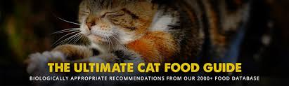 One theory holds that the body starts recognizing normal food and bacteria as foreign invaders. Raw Food Diet For Cats With Ibd Beauty News