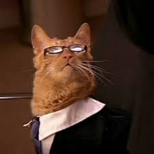Lawyer tells judge 'i'm not a cat' after a zoom filter mishap in virtual court hearing. Lawyer Create Meme Meme Arsenal Com