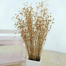 See more of bunga kering/dried flowers on facebook. Bunga Kering Dried Flower Shopee Indonesia