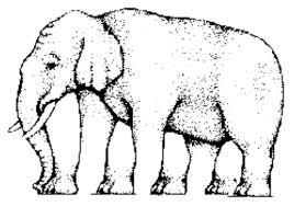 Image result for illusion pictures