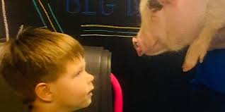 FIRST SATURDAY Kidds Play, Snuggle & Brush Tickets, Multiple Dates