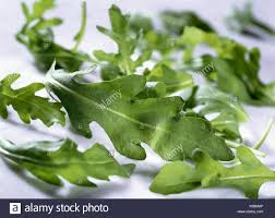 Rauke High Resolution Stock Photography And Images Alamy