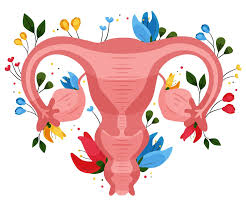 Utero Retrovertido Mitos E Verdades Clinca Cinge Df Aguas Claras