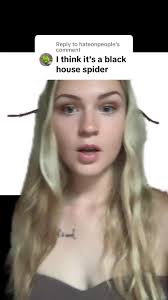 Identifying Funnel Web vs. Black House Spider