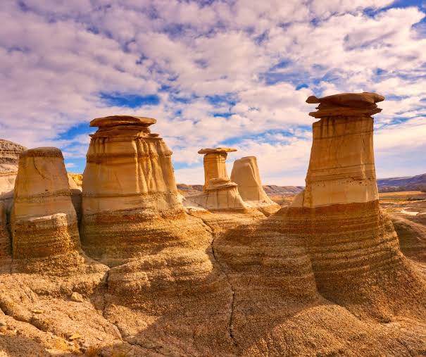 At Home in the Badlands - Alberta Institute For Wildlife Conservation