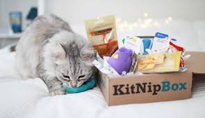 They currently offer 2 subscriptions: The 40 Best Subscription Boxes For 2020 To Know About