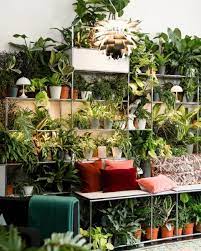 Ternyata, memperhatikan jenis dekorasi tanaman hias yang tepat dan sesuai dengan jenis ruangan di rumah, merupakan salah satu aspek terpentingnya lho! 9 Tips Menata Koleksi Tanaman Di Dalam Dan Luar Rumah Dengan Rak