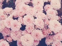 Aesthetic baby pink wallpapers feel free to use these aesthetic baby pink images as a background for your pc, laptop, android phone, iphone or tablet. Soft Pink Baby Pink Background Hd