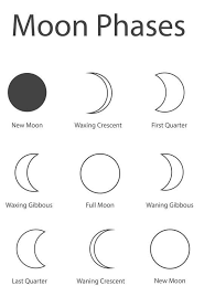 Moon Phases Worksheet Pdf Moon Phases Coloring Sheets In 2020 Moon Phase Lessons Worksheet Template Moon Phases