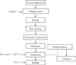 Flowchart Showing Proposed Process For Obtaining Pectin From