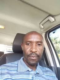 🏅 10 Best Tree Stump Removal Pros in Alberton