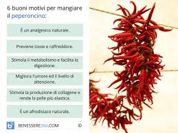 I 10 cibi afrodisiaci più efficaci: Peperoncino Proprieta Benefici E Controindicazioni Del Frutto Afrodisiaco