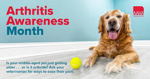 Can you leave your dog at westgate pet clinic? Westgate Pet Clinic Home Facebook