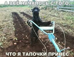 Плохие шутки - Home | Facebook