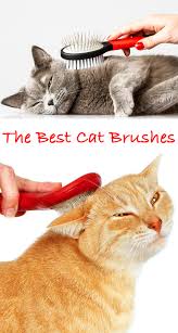Long hair cat brush reviews. Best Cat Brush Find The Best Brush For Your Cat