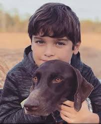 Do GSPs have issues with young children or resource guarding?