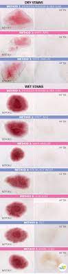Then using a clean cloth or napkin dab rinse the affected area thoroughly using a wet towel. How To Remove Red Wine Stains From Clothes We Tested 7 Methods