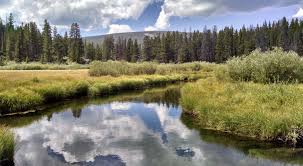 The Nature Conservancy In Montana